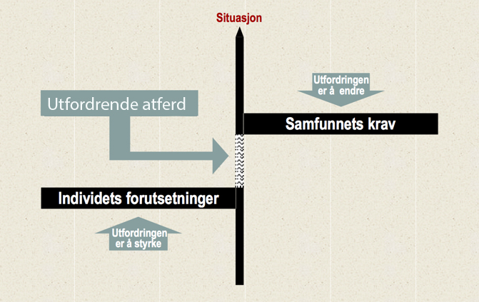 Tvang Og Makt: Utfordrende Atferd Og årsak | Naku